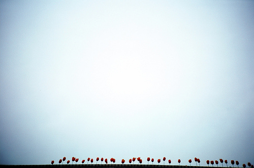 flickr-hiromama
